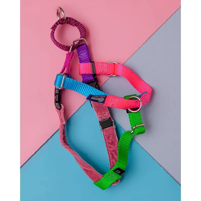 Freedom No-Pull Harness in Sugar (Made in the USA) (CLEARANCE)