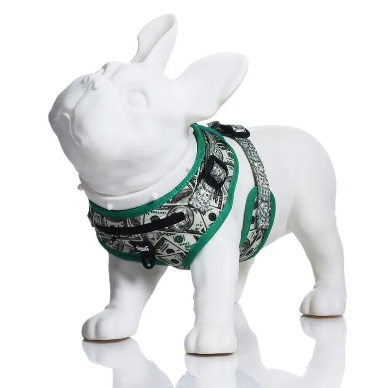 HEADY PET | Money Money Harness