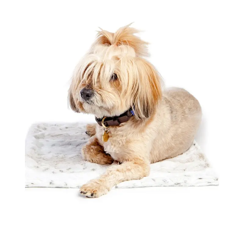 Plush Dog Blanket in Snow Leopard