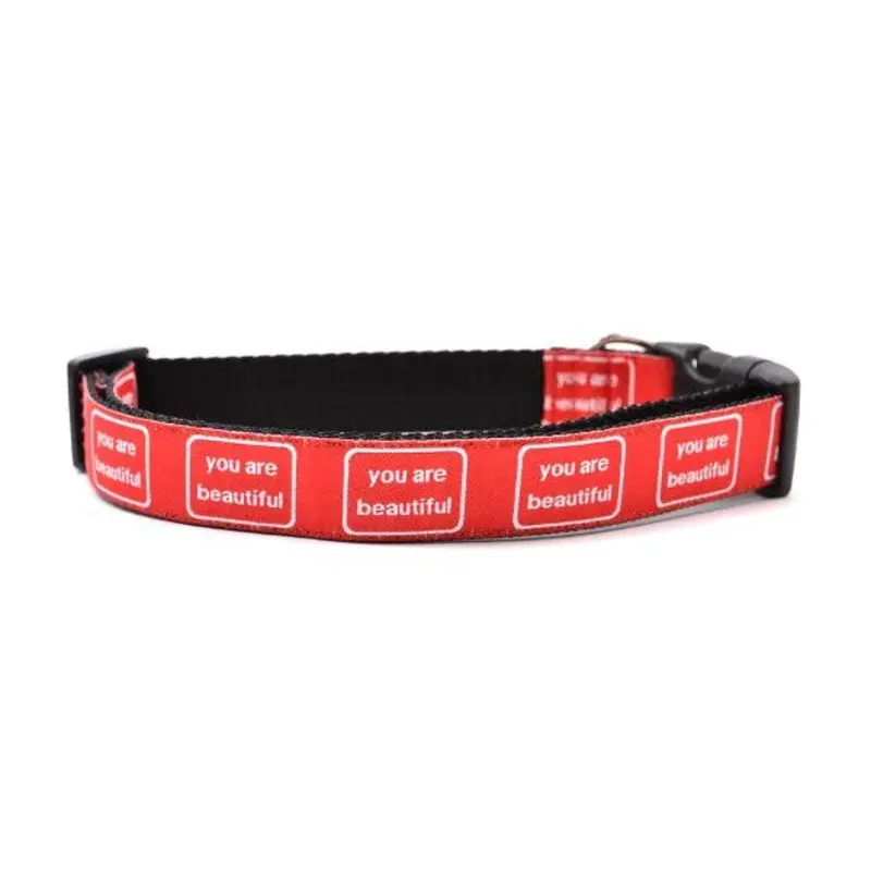 SIX POINT PET | You are Beautiful Collar