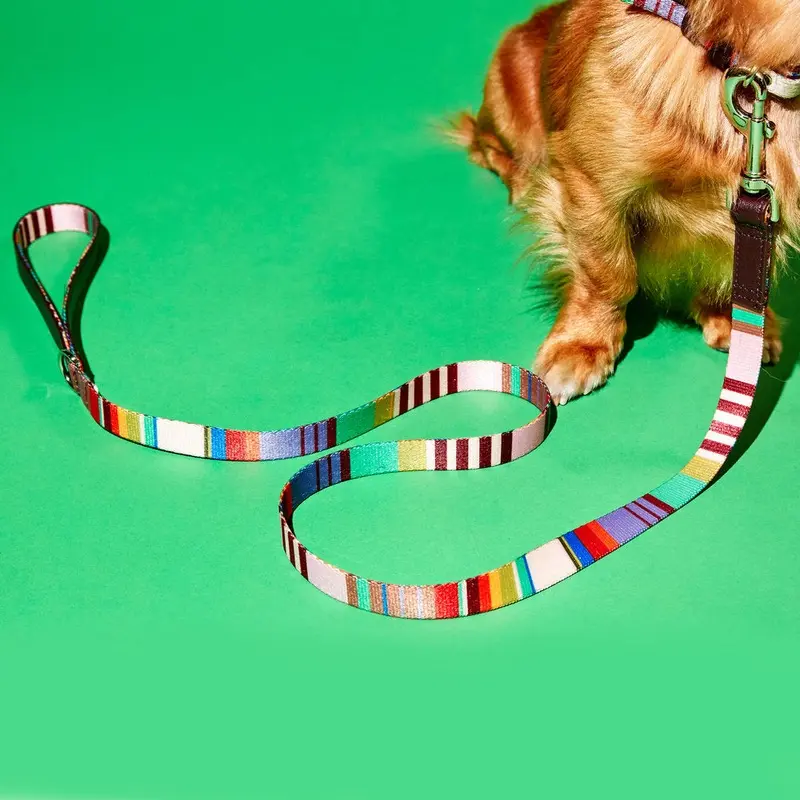 Striped Webbing Leash