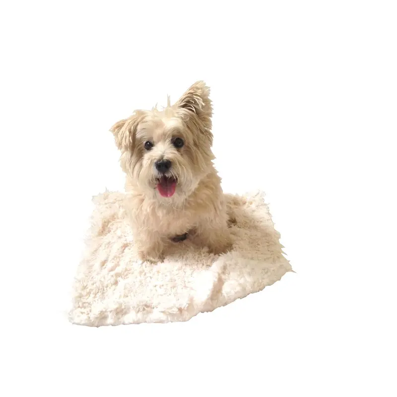 THE DOG SQUAD | Ivory Powder Puff Blanket
