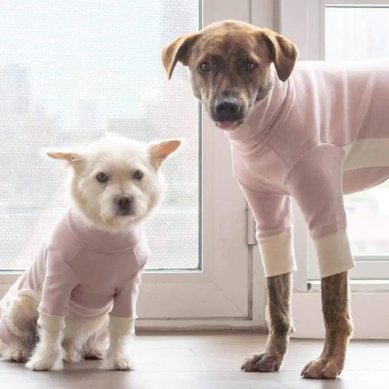 THE FURRYFOLKS | High Neck Jumpsuit in Blush