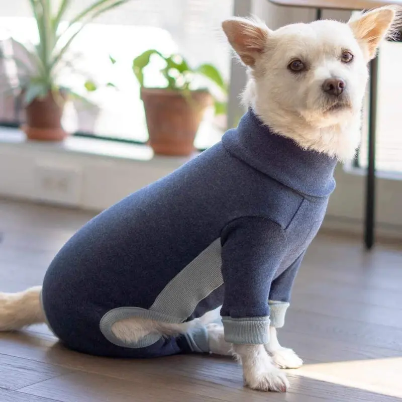 THE FURRYFOLKS | High Neck Jumpsuit in Navy