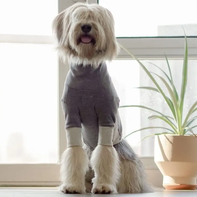 THE FURRYFOLKS | High Neck Tee in Grey