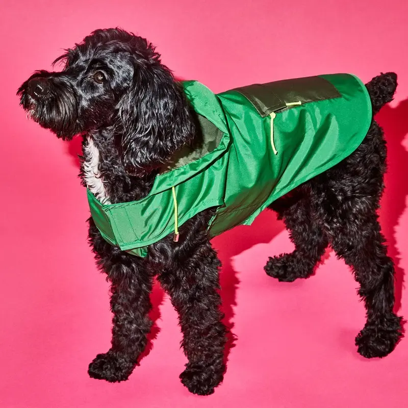 WARE OF THE DOG | Colorblock Anorak Raincoat in Green/Olive