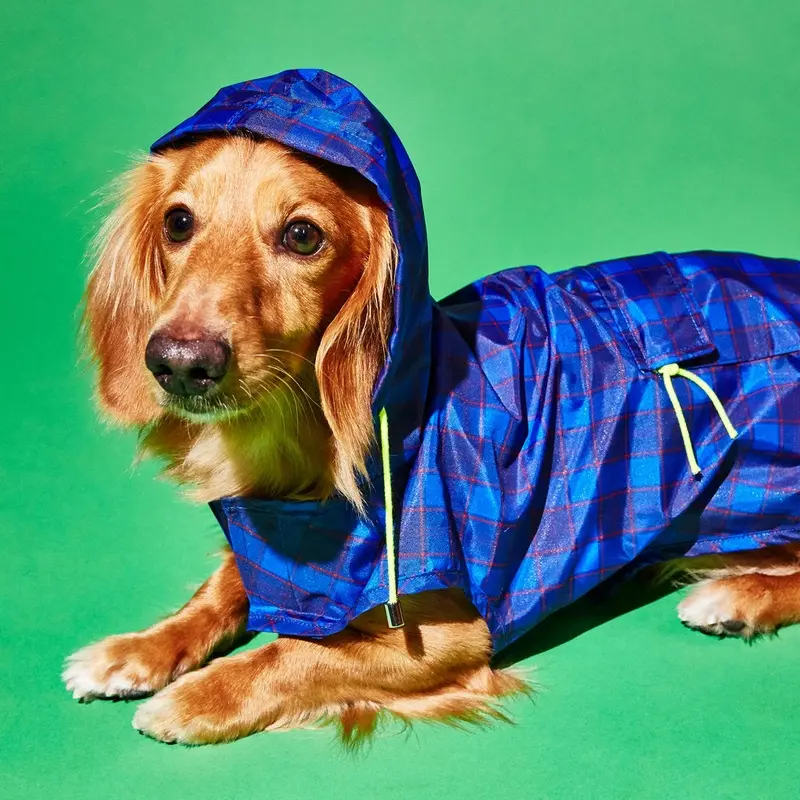 WARE OF THE DOG | Plaid Anorak Raincoat in Purple/Multi