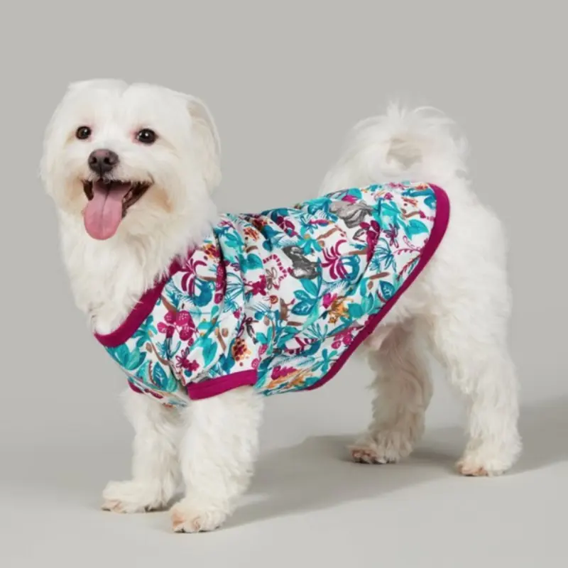 BEDHEAD | Lounge Dog T in Into the Jungle