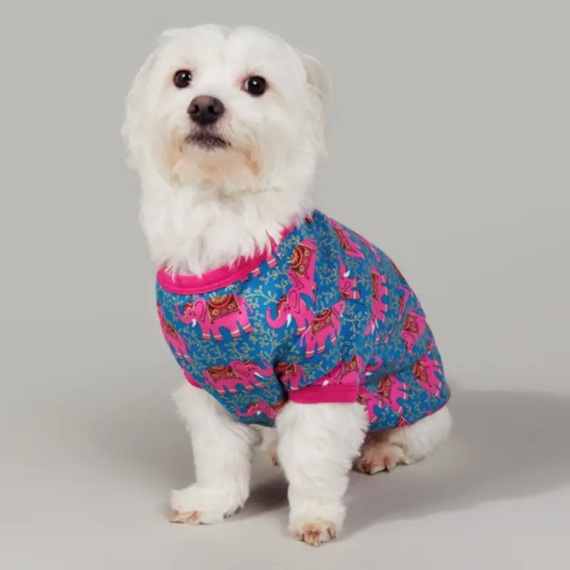 BEDHEAD | Lounge Dog T in Royal Elephant