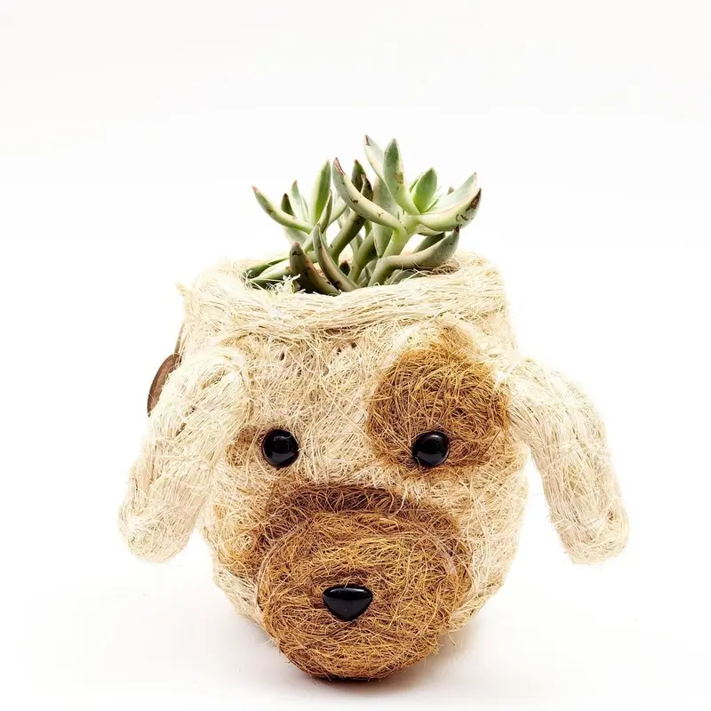 LIKHA | Diego the Dog Planter