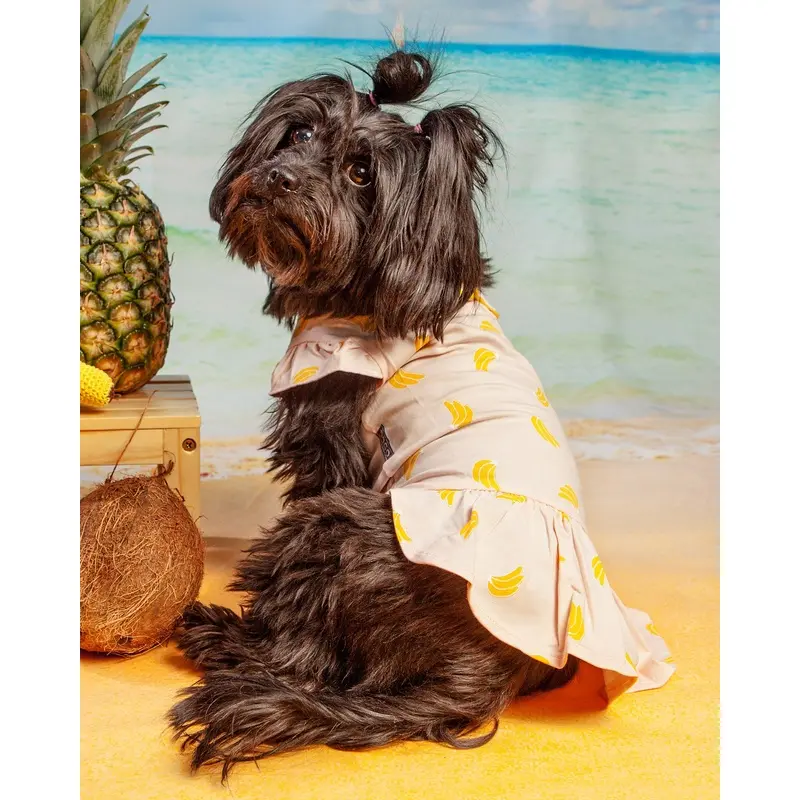 Bananas Lightweight Dog Dress (FINAL SALE)