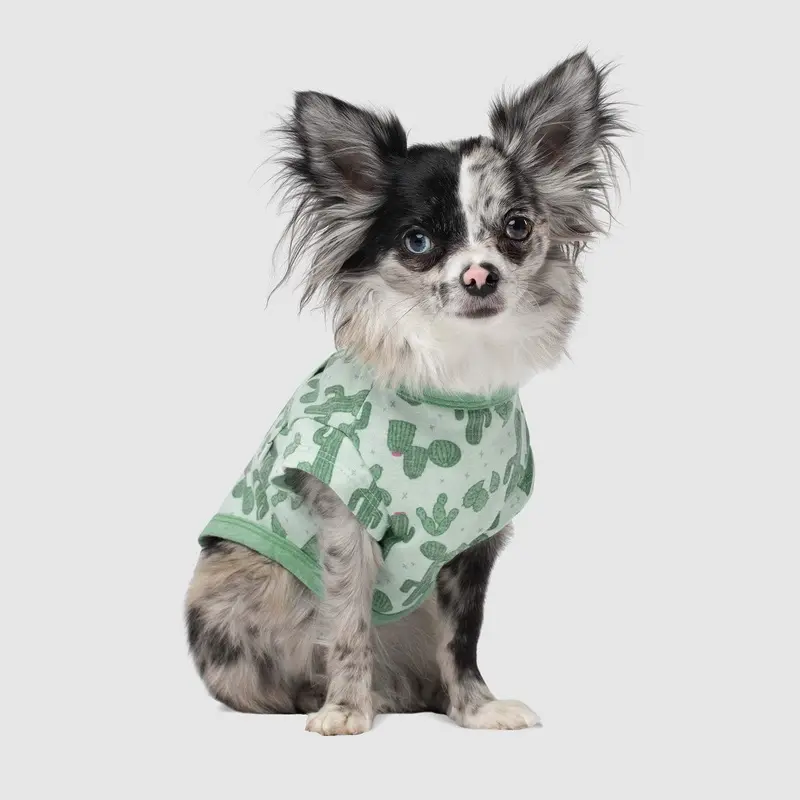 CANADA POOCH | Follow Me Tee in Cactus