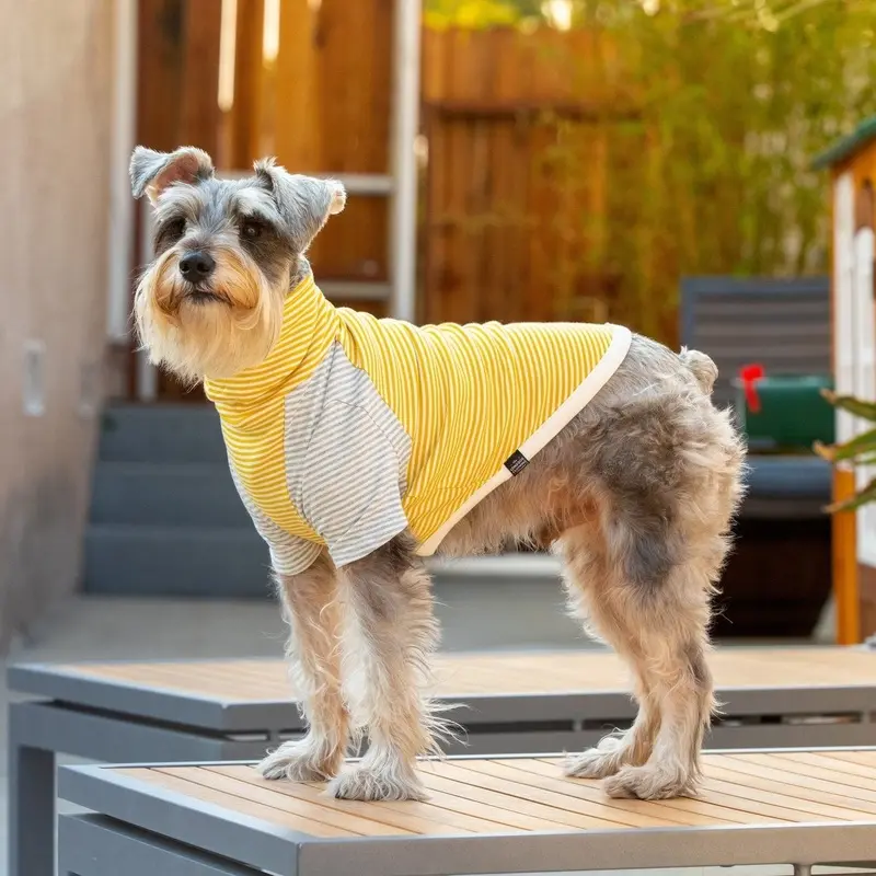 LONG DOG CLOTHING | The Early Bird