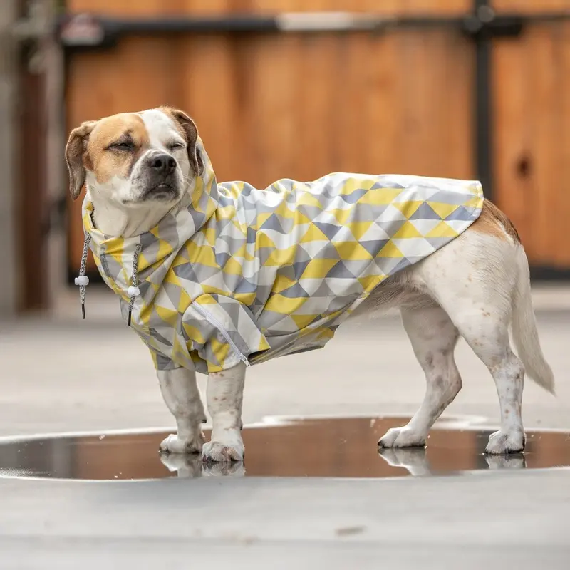 LONG DOG CLOTHING | The Metric Raincoat