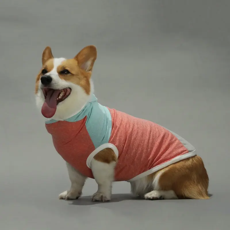 LONG DOG CLOTHING | The Surfer