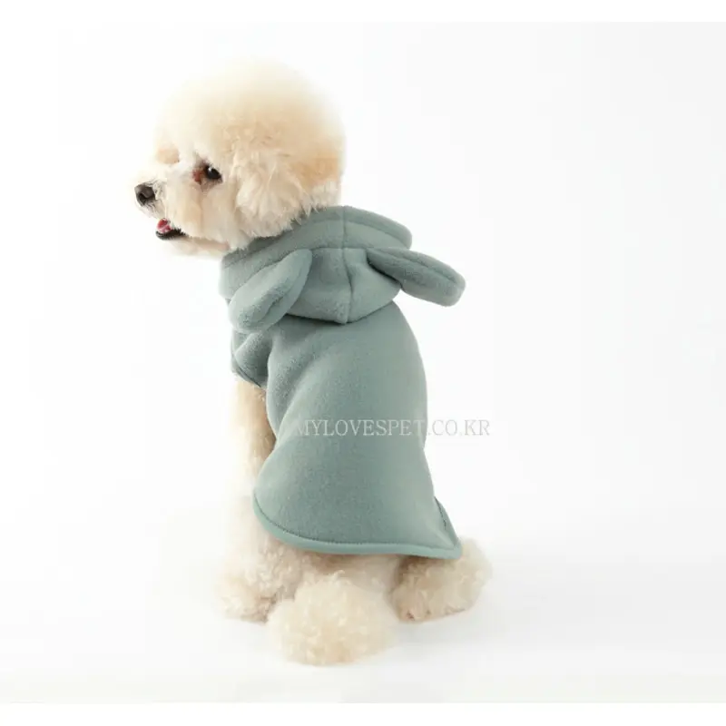 ALP | Joy Hoodie in Mint