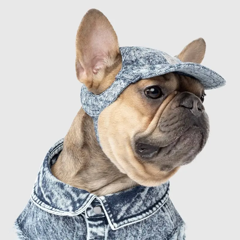 CANADA POOCH | Comeback Denim Cap