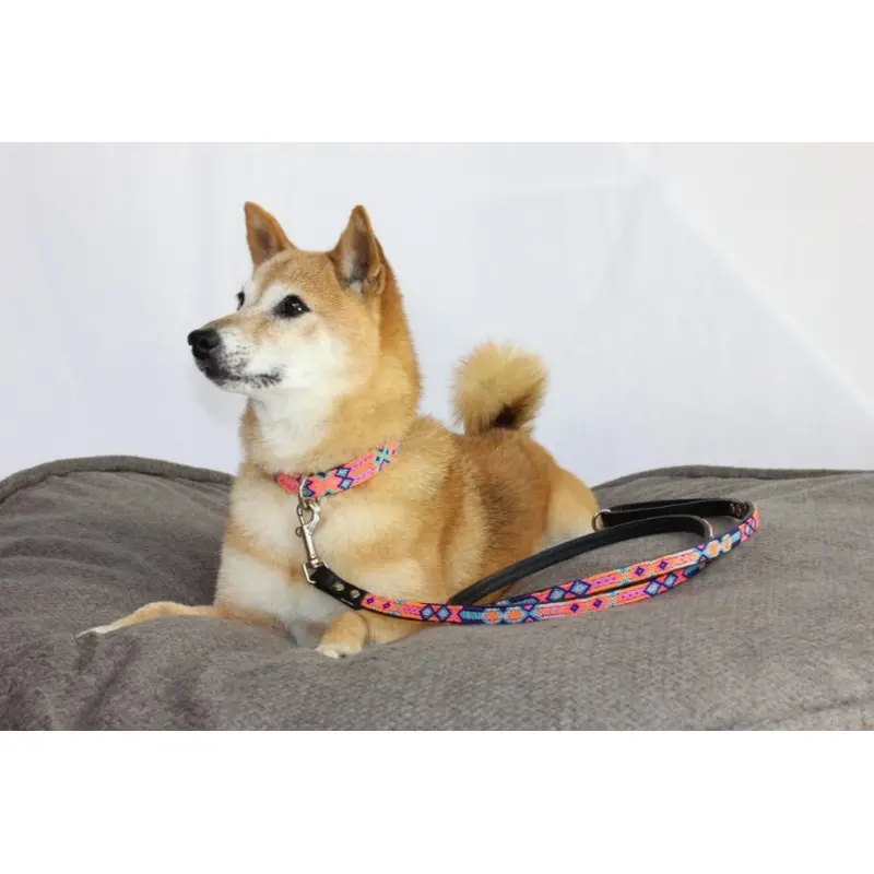 HEKA PET | Coral Woven Leather Leash