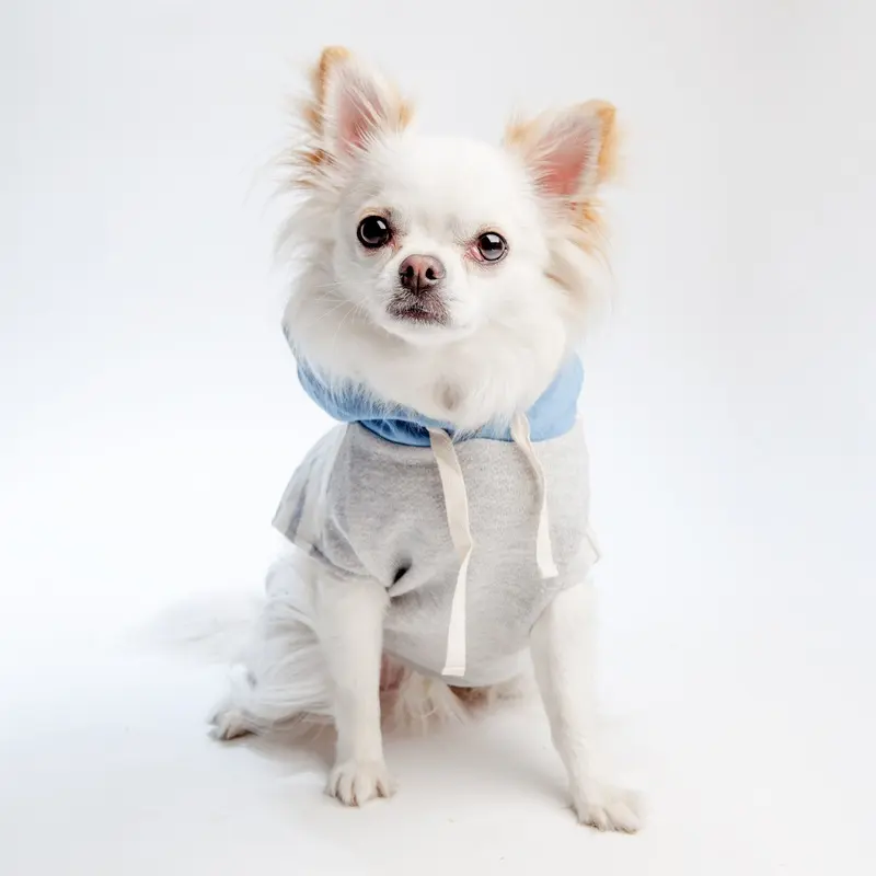 OH POP DOG | Grey Stripe Hoodie