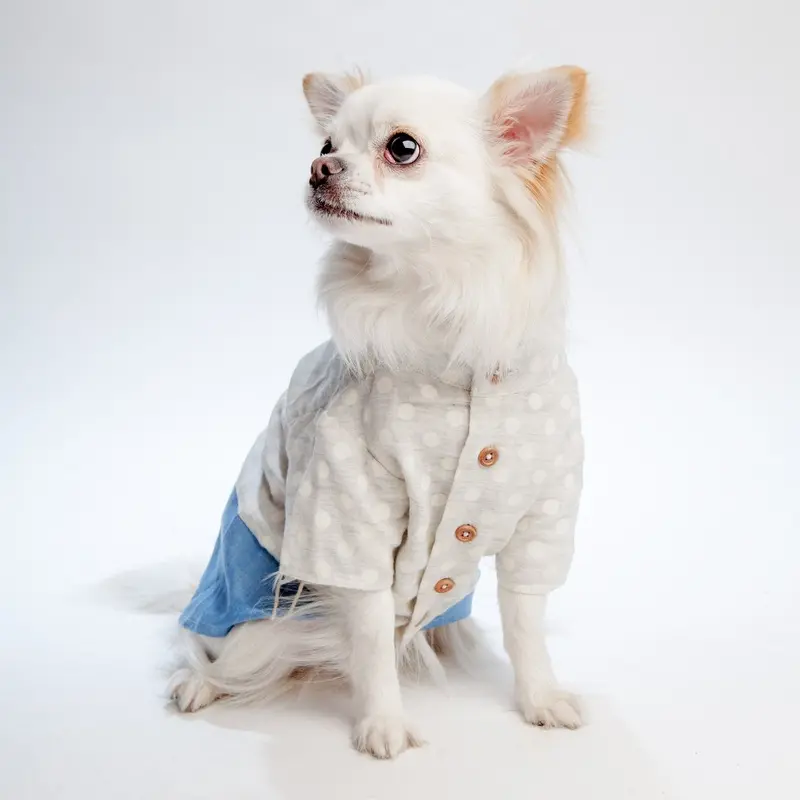 OH POP DOG | Polka Dot Denim Shirt