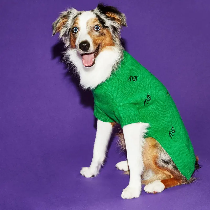 WARE OF THE DOG | No Sweater in Green and Black