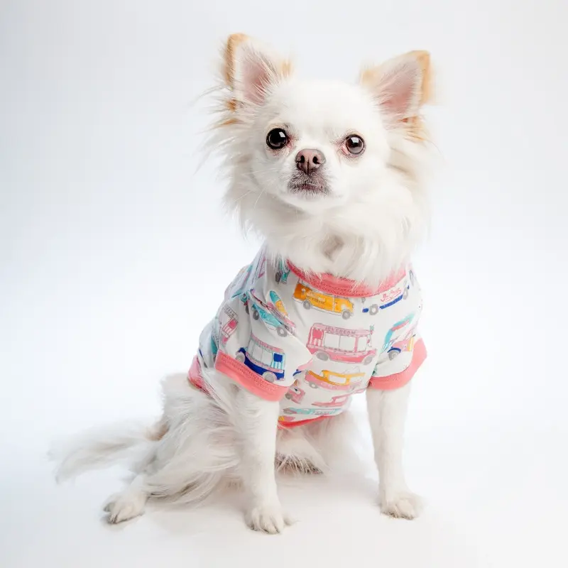 BEDHEAD | Lounge Dog T in Ice Cream Dream