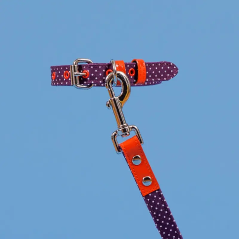 WARE of the DOG | Polka Dot Canvas Collar