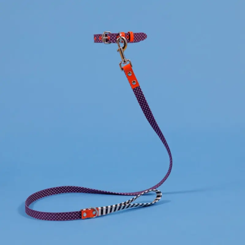 WARE of the DOG | Polka Dot Canvas Leash