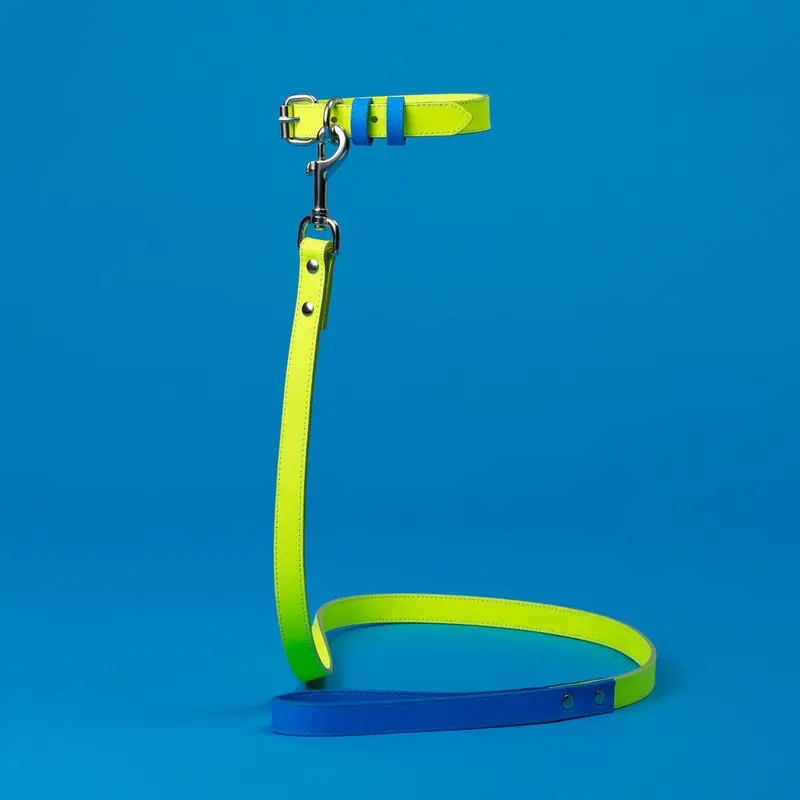 WARE of the DOG | Two Tone Leather Leash in Yellow / Blue