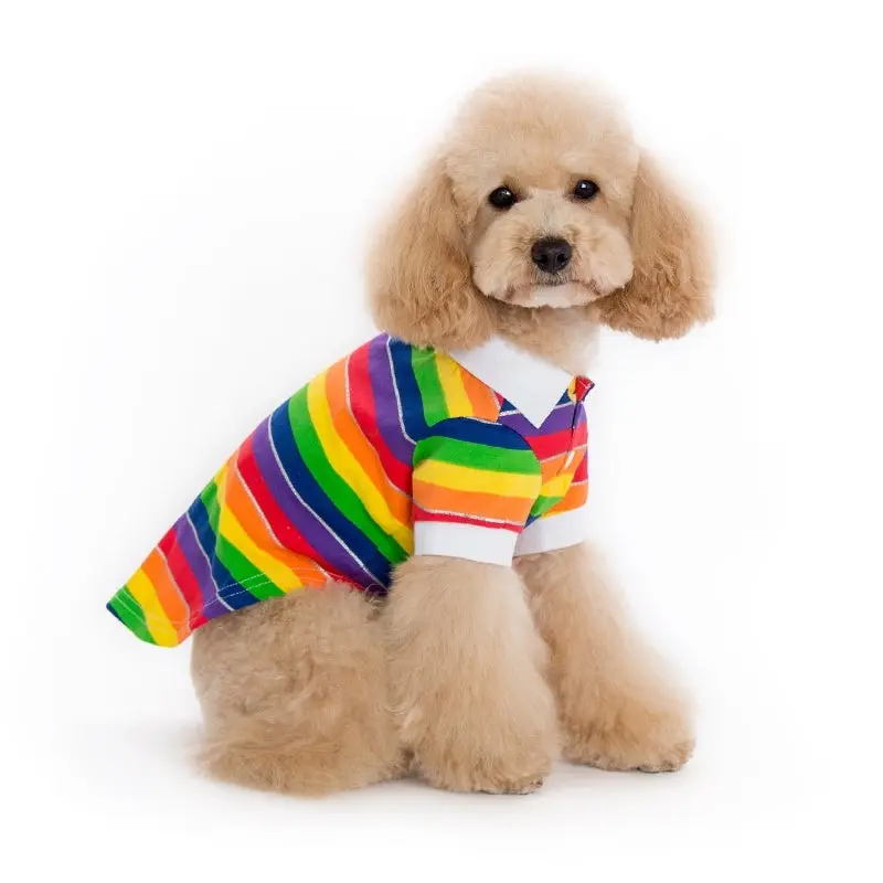 DOGO | Rainbow Polo