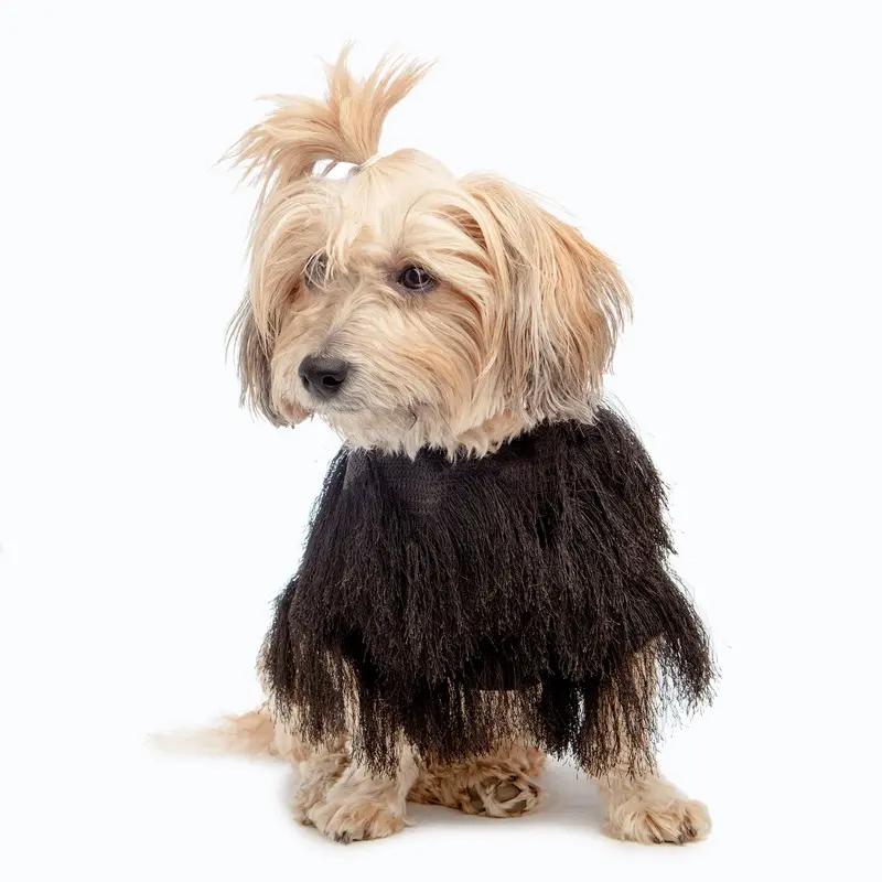 DUKE & DUTCHESS | Fringe Coat in Black