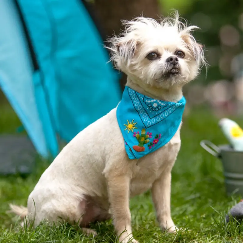 NATIVA | Cactus Bandana in Teal