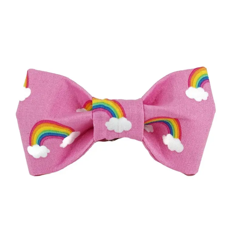 TRISH HAMPTON | Rainbow Bow Tie