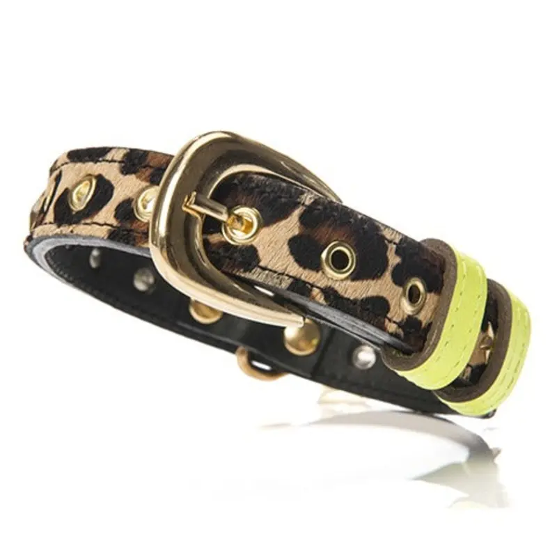 CHACO | Collar in Leopard