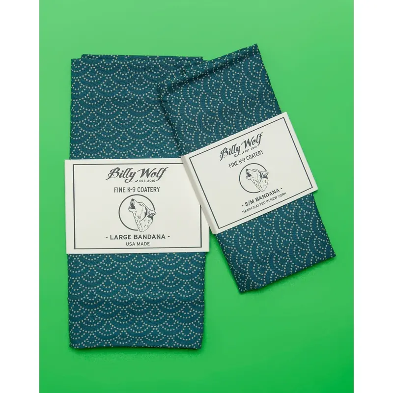 Coy Bandana