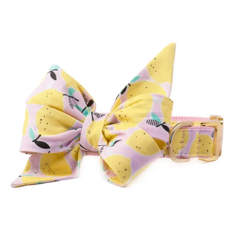 CREW LA LA | Belle Bow in Fresh Squeezed