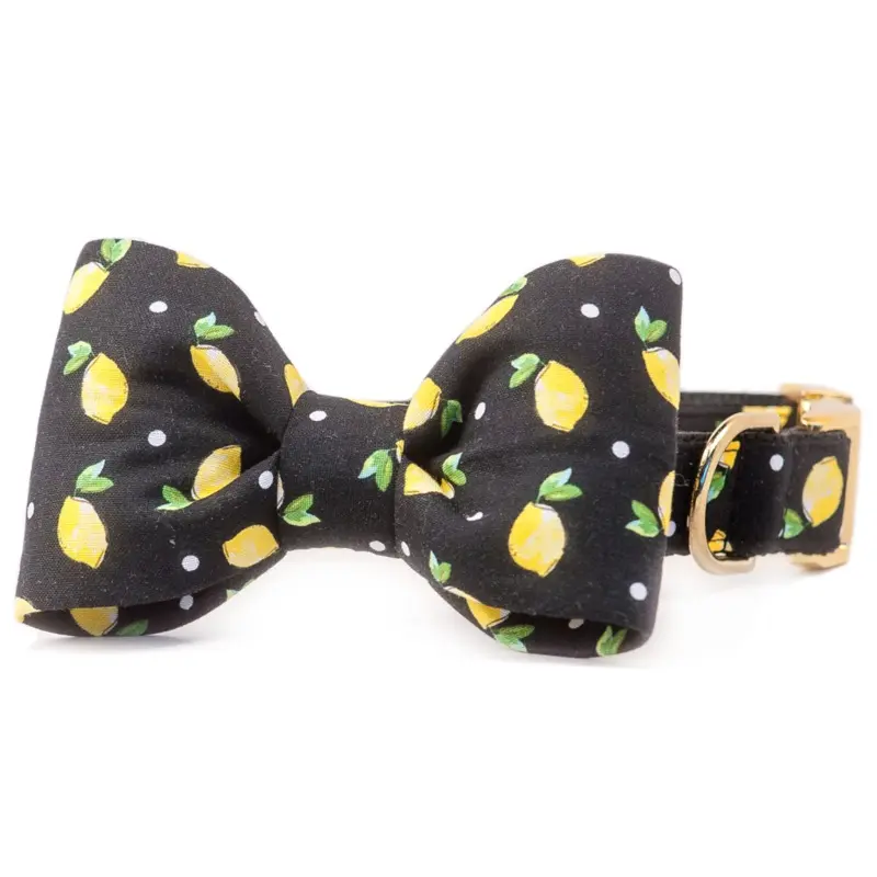 CREW LA LA | Tom Collins Bow Tie