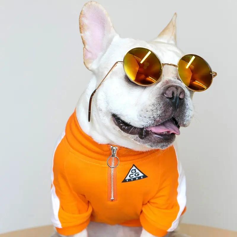 DOGGO STREET MARKET | All Canine Gear Pullover
