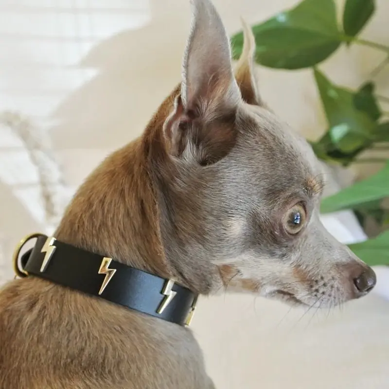 Lightning Bolt Dog Collar