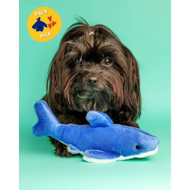 Baby Bruce Shark Plush Dog Toy