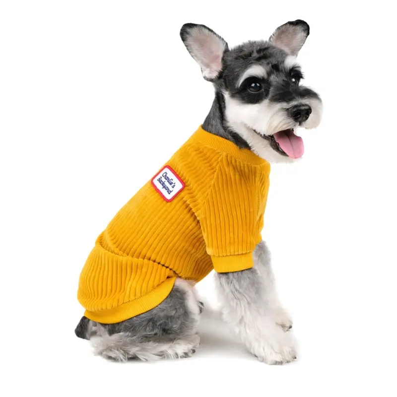 CHARLIE'S BACKYARD | Alley Pullover in Mustard
