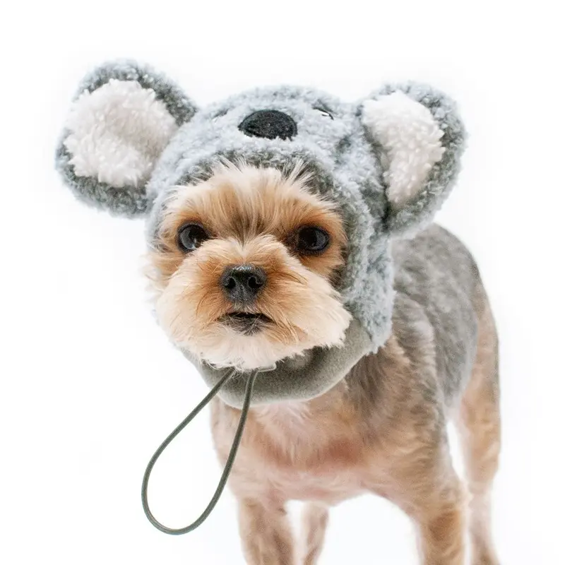 DOGO | Koala Hat