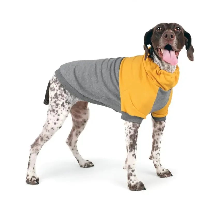 CHARLIE'S BACKYARD | Rover Pullover in Grey & Yellow