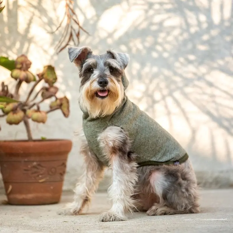 LONG DOG CLOTHING | The Yosemite