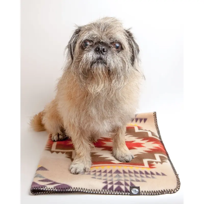Santa Fe Fleece Blanket