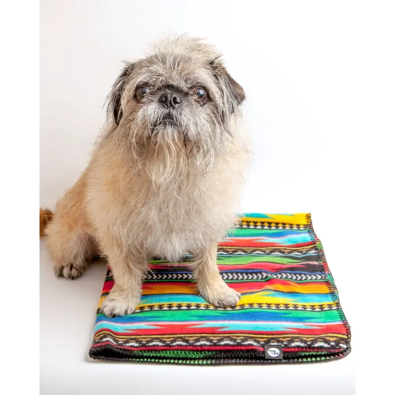 Serape Fleece Blanket