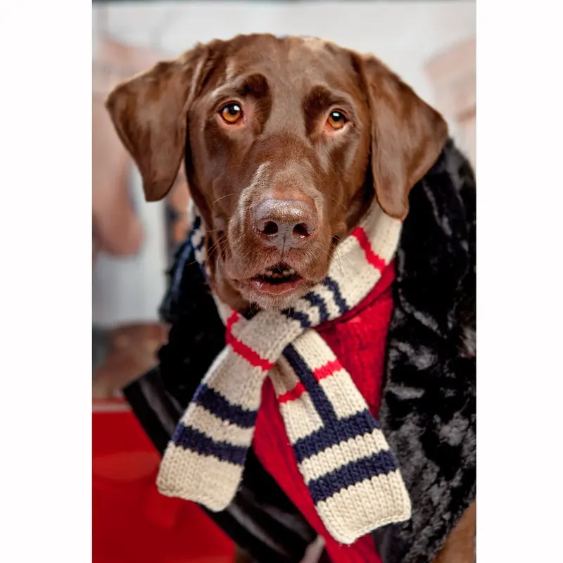 CHILLY DOG | Tan Plaid Scarf