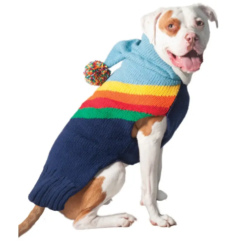 CHILLY DOG | Vintage Rainbow Hoodie