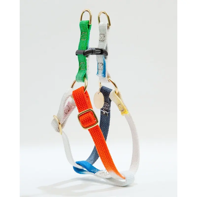 Cotton Webbing Harness in Dog & Co. Ombre