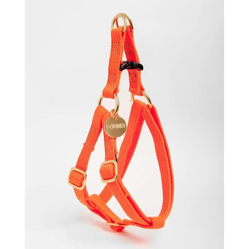 Cotton Webbing Harness in Orange